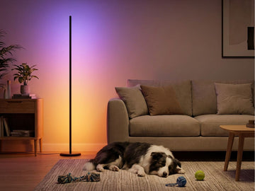 Nanoleaf Lampe sur pied intelligente