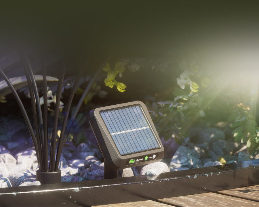 OFF in Daylight to Auto Charge