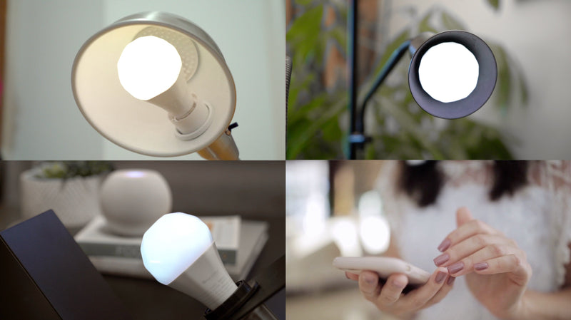 A Mesh Network that Just Works