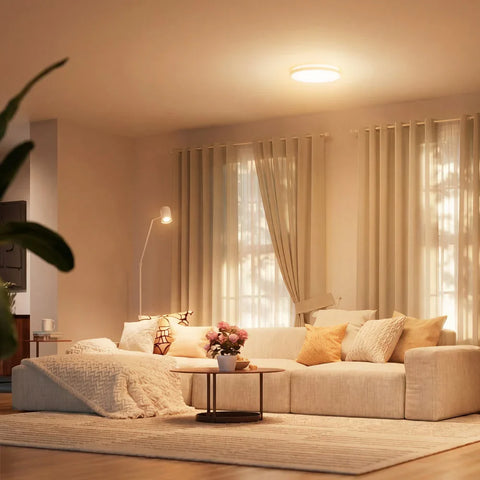 Ceiling Lights