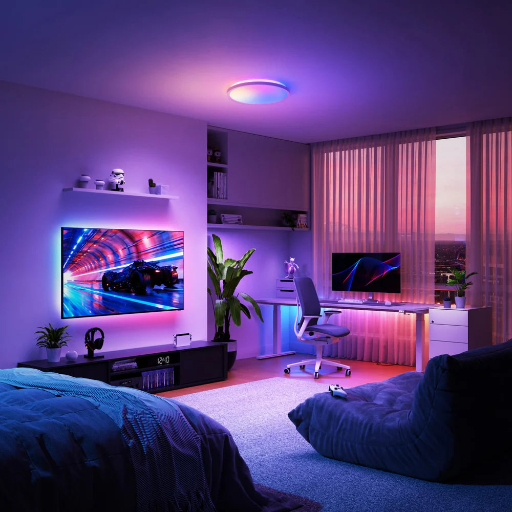 Ceiling Light