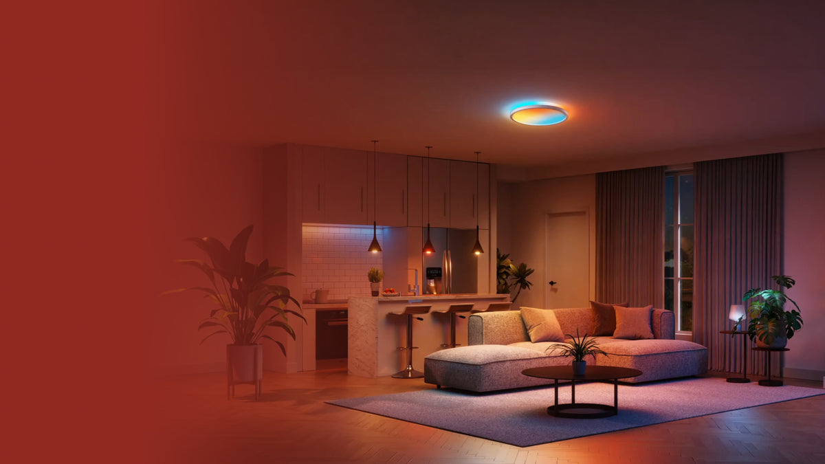 NEW Smart Multicolor Ceiling Light