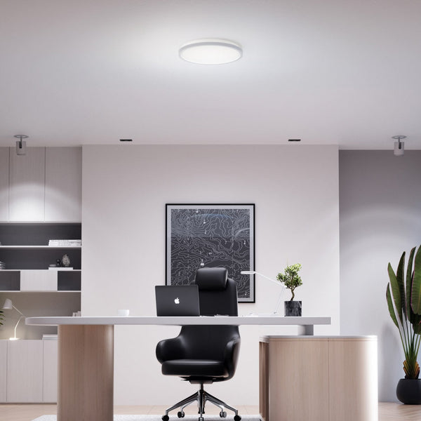 Smart Multicolor Ceiling Light (Each)