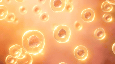 LIGHT THERAPY 101 →